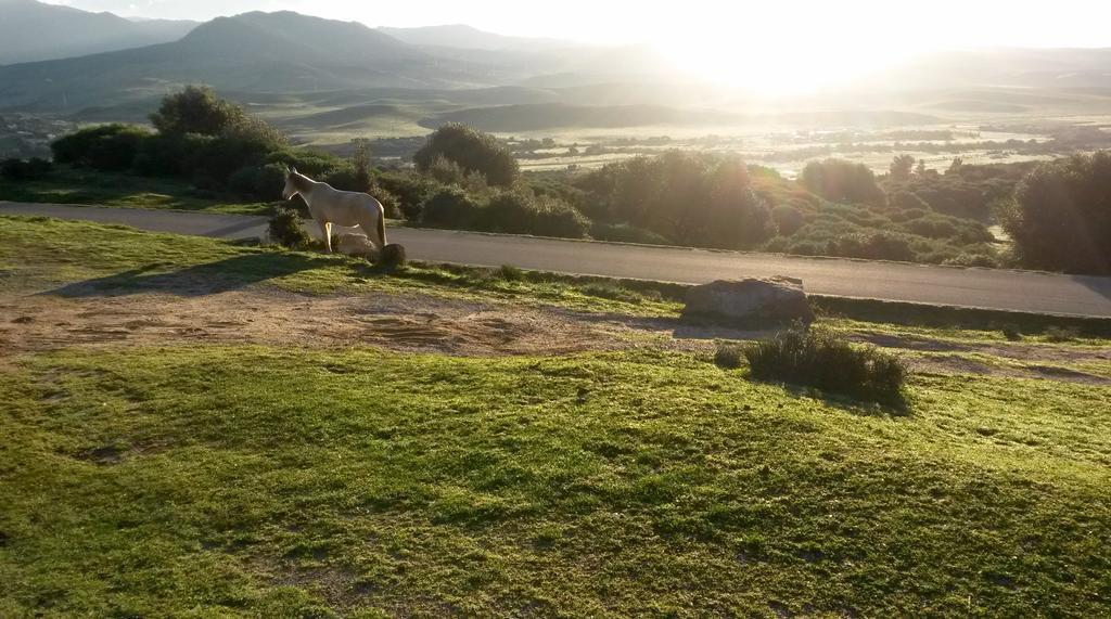 Apartmán El Estrecho Tarifa Exteriér fotografie